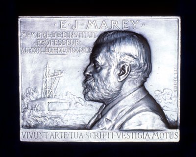 Etienne Jules Marey 1830-1903, fisiologista francês, século XIX de Unbekannt