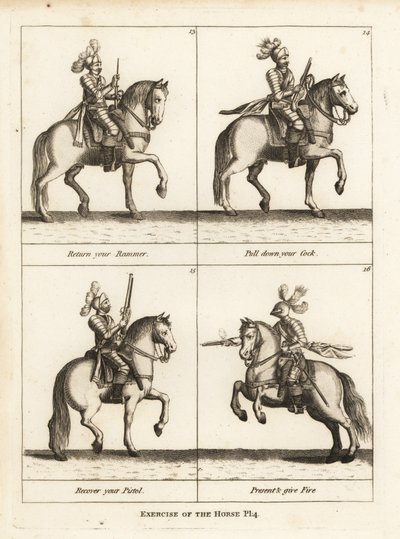 Exercício do cavalo de Unbekannt