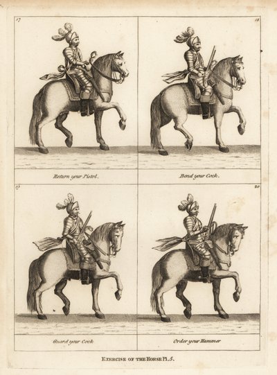 Exercício do cavalo de Unbekannt