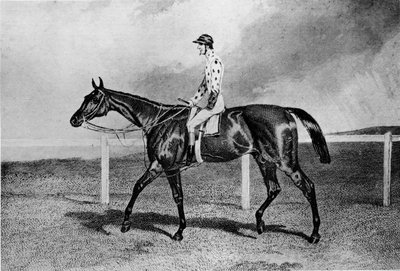 Fandango, século XIX, 1911 de Unbekannt