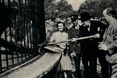 Rota de alimentação, The Pinner Lion, 1940, 1945. de Unbekannt