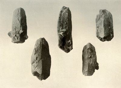 Cristais de feldspato do cume do tamanho natural do Monte Erebus, 1909 de Unbekannt