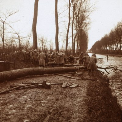 Abate de árvores, Noyon, norte da França, c1914-c1918 de Unbekannt