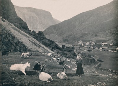 Chama, 1914. de Unbekannt