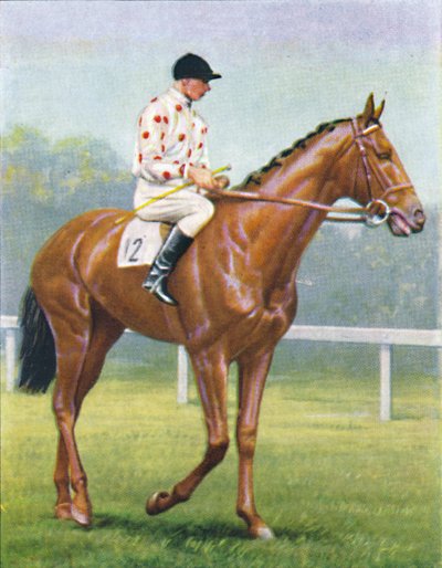 Flares, Jóquei: RA Jones, 1939 de Unbekannt