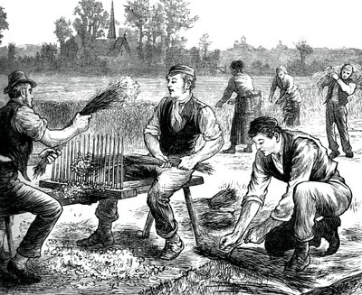 Ondulação de linho, c1880 de Unbekannt