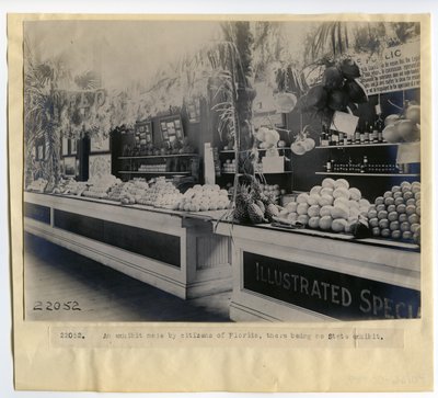 Exposição de horticultura na Flórida no Palácio da Horticultura na Feira Mundial de 1904 de Unbekannt