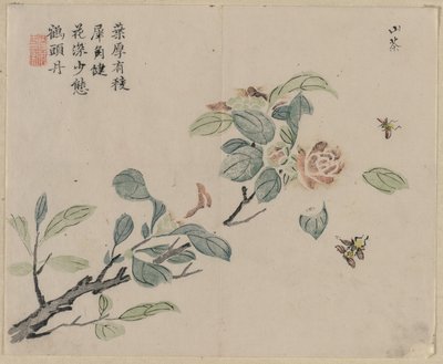 Ramo de flores com abelhas, século XVIII. de Unbekannt