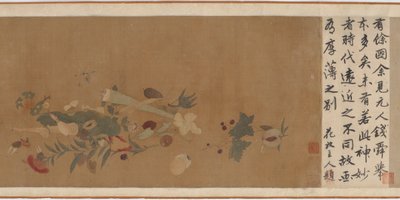 Flores, frutas, conchas e insetos, 1368-1644. de Unbekannt