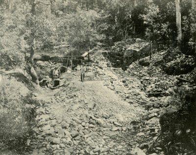 Fossickers at Work, 1901. de Unbekannt