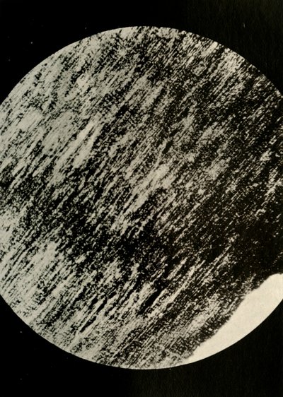 Madeira fóssil no arenito, de uma moraine no latitude 85 ° sul, c1908, 1909. de Unbekannt