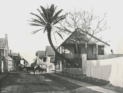 Francis Street, Santo Agostinho, EUA, 1895. de Unbekannt