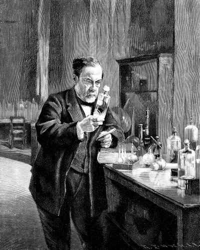 Microbiologista e químico francês Louis Pasteur 18221895 de Unbekannt