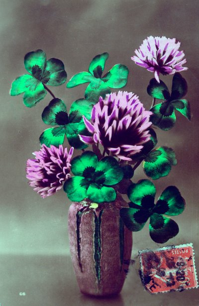 Cartão francês da flor, c1900 de Unbekannt