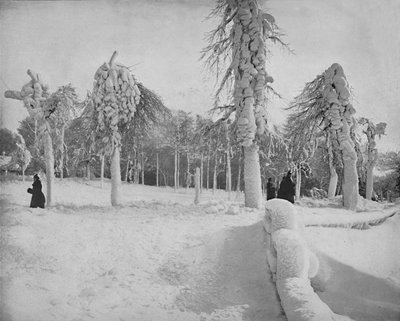 Trabalho de Frost no Prospect Park, Niagara, c1897. de Unbekannt