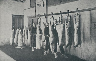 Carne Congelada, 1910 de Unbekannt