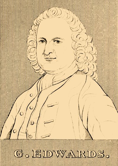 G. Edwards, 1694-1773, 1830. de Unbekannt