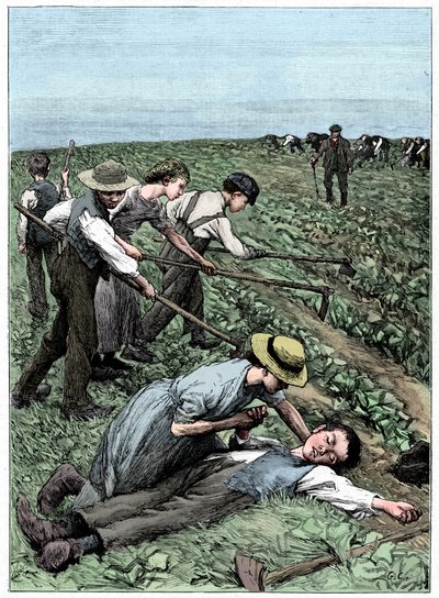 Sistema de quadrilhas de trabalho infantil, c1885 de Unbekannt