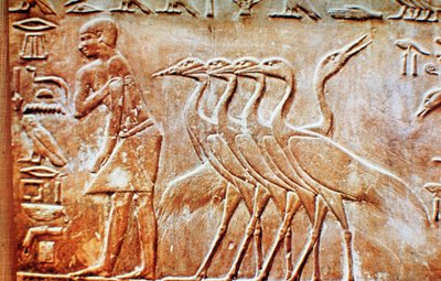 Gansos, relevo de parede do túmulo de Ptahhotep, Saqqara, Egito, século 24 aC de Unbekannt