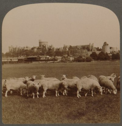 Vista geral Castelo de Windsor, Inglaterra, 1896. de Unbekannt