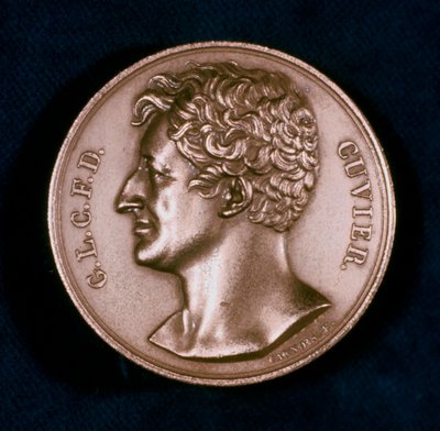 Georges Leopold Chretien Frederic Dagobert, Barão Cuvier, anatomista francês, século XIX de Unbekannt