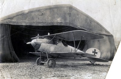Albatros alemão DV, Souilly, França, 2 de janeiro de 1918 de Unbekannt