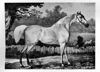 Gimcrack, 1760-1777, 1911 de Unbekannt