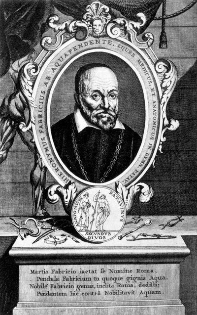 Girolamo Fabrici, anatomista e cirurgião italiano, século XVII de Unbekannt