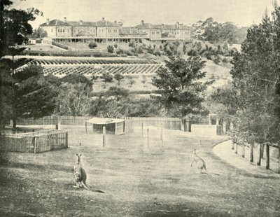 Asilo de Gladesville para os Insanos, Nova Gales do Sul, 1901. de Unbekannt
