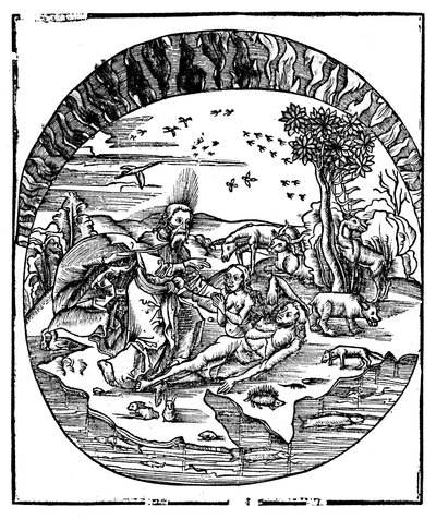 Deus criando Eva a partir da costela de Adams, 1508 de Unbekannt