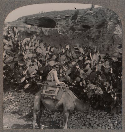 Gólgota o lugar do crânio, c1900 de Unbekannt