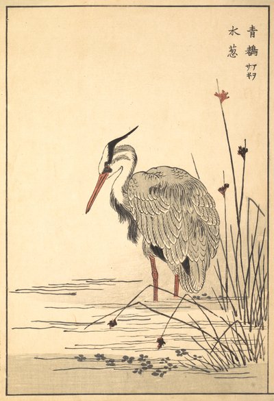 Grey Heron Aosagi e Mizu-aoi Plant, 1857. de Unbekannt