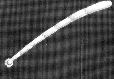 Grande cometa de 1680 Kirch quando apareceu ao se aproximar do Sol de Unbekannt
