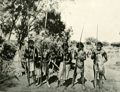 Grupo de homens aborígines, Queensland, Austrália, 1901. de Unbekannt