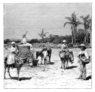 Grupo de haitianos, c1890 de Unbekannt