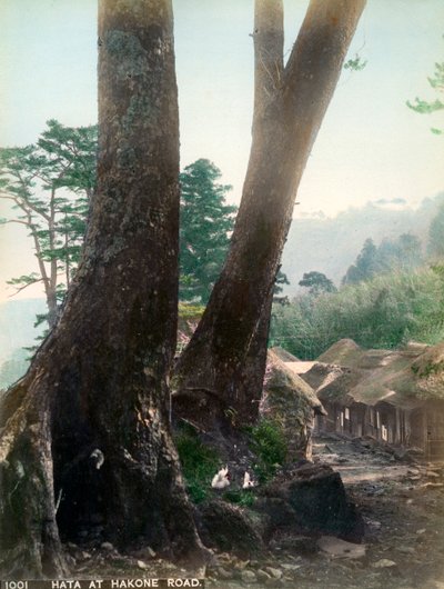 Hata na Hakone Road, Japão, início do século XX de Unbekannt