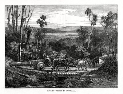 Transporte de madeira, Austrália, 1877 de Unbekannt