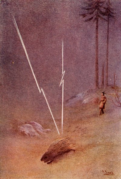 De repente, ele assumiu a forma de um gigantesco porco-espinho, 1914. de Unbekannt