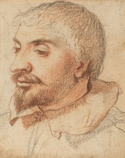 Cabeça de um homem, c. 1600. de Unbekannt