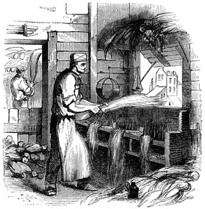 Cânhamo, 1866 de Unbekannt