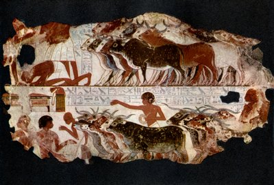Rebanhos de gado da época da 18ª Dinastia, Egito, c1400 aC 1936 de Unbekannt