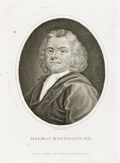 Herman Boerhaave, médico holandês, químico e botânico, início do século XVIII de Unbekannt