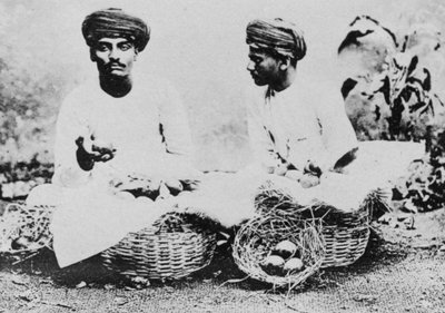 Vendedores de frutas hindus, Índia, século XX de Unbekannt