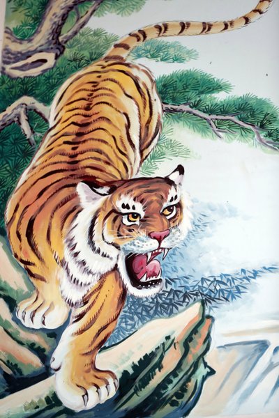 Hoi Tuong Te Nguoi Hoa templo budista chinês. Tigre pintura. Phu Quoc. Vietnã. de Unbekannt