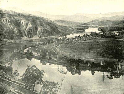 Hop Gardens na Tasmânia, 1901. de Unbekannt