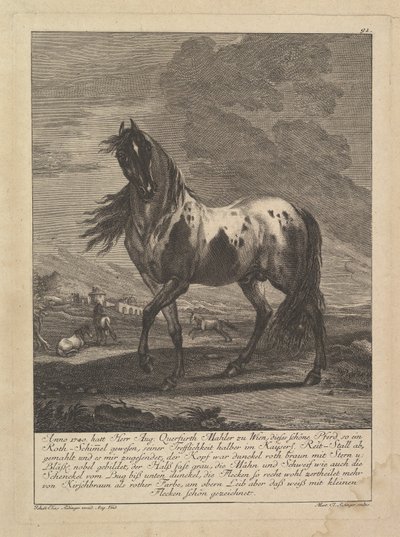 Cavalo, século XVIII. de Unbekannt