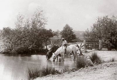 "Horses drinking at pond", vers les annees 1890 de Unbekannt