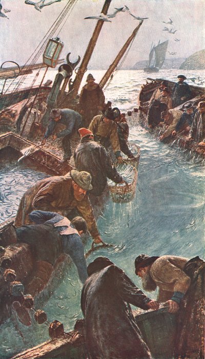 Como Caught the Pilchards, 1895, c1902. de Unbekannt