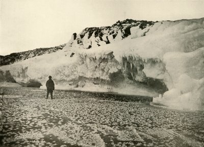 Congele flores no gelo marinho recentemente formado cedo no inverno, c1908, 1909. de Unbekannt