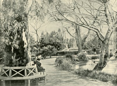 Nos jardins botânicos, Adelaide, 1901. de Unbekannt